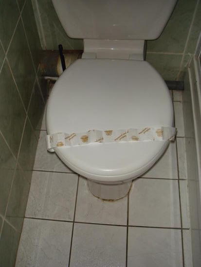 Reused toilet ribbon