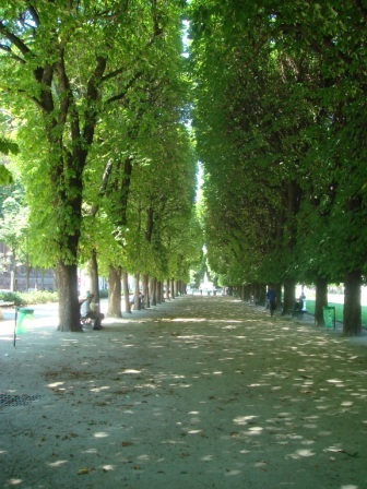 10 Tree lined street into Luxumbourg Gardens