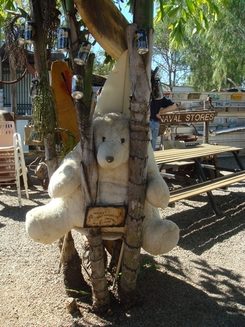 18 The Daly Waters Drop Bear