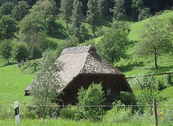 A thatched roof - the only one I've seen
