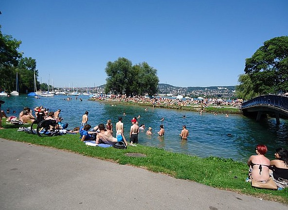 The Swiss swimming