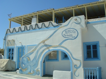 Octopus cafe