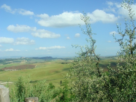 19 More Tuscan hills