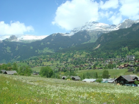 11 Grindelwald Valley