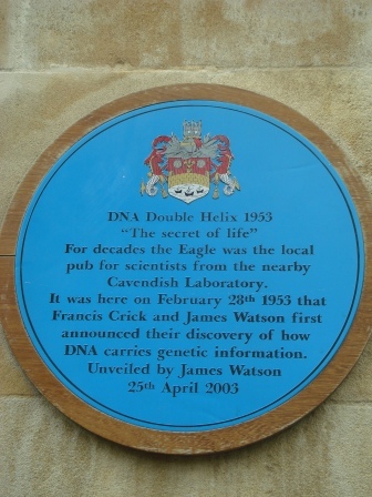 04 DNA was discovered in the Eagle pub