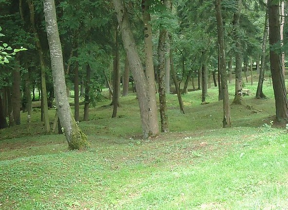 Verdun landscape